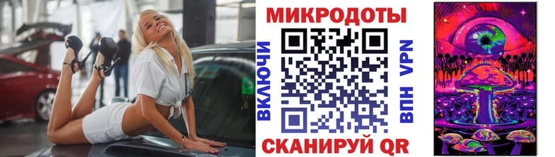 блэк спрут вход  Нефтегорск  Псилоцибиновые грибы Magic Shrooms  даркнет сайт 