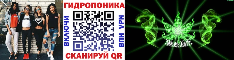 Бошки марихуана MAZAR  Нефтегорск 